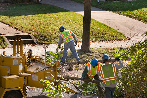 Best Seasonal Cleanup (Spring/Fall)  in Moa, UT